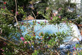 Hotel Royal Terme - La jacuzzi idromassaggio esterna