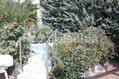 Hotel Royal Terme - La jacuzzi