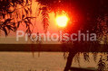 Un particolare tramonto