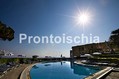 Hotel Terme Alexander - Il giardino