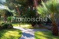 Hotel Terme San Lorenzo - Il giardino 