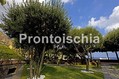 Hotel Terme San Michele - Il parco
