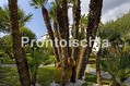 Hotel Terme San Michele - Il parco curatissimo