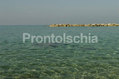 Hotel Terme Tritone - La baia di San Francesco