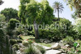 Hotel Terme Tritone - Il giardino