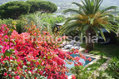Residence Il Pozzo - La piscina in giardino