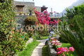 Residence Il Pozzo - Il giardino