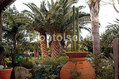 Residence Villa Cristina  - Il giardino