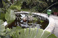 Residence Villa Cristina -  Particolari del giardino