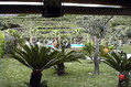Residence Villa Cristina -  Il giardino  