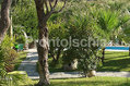 Residence Villa Cristina - Il parco