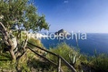 Residence Costa del Capitano - Il panorama
