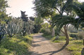 Residene Costa del Capitano  - Il viale del giardino 