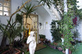Hotel Villa Diana -  Gli esterni