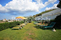 Hotel Albatros - Il solarium prato