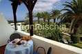 Residence Covo dei Borboni - Il terrazzo degli appartamenti