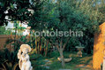 Il giardino
