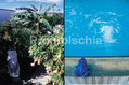 La piscina