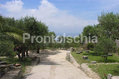 Appartamenti Pietra Verde - Il giardino