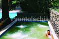 Hotel Il Giardino Eden - La piscina di acqua termale 