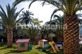 Hotel Parco delle Agavi - Il parco giochi per i pi� piccoli