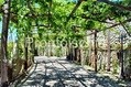 Hotel Villa Cimmentorosso - Gli esterni