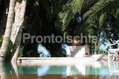 Paco Residence - La piscina 