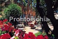 Grand Hotel Terme di Augusto - Il giardino
