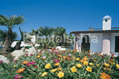 Hotel Carlo Magno - Il giardino