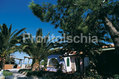Hotel Carlo Magno - Il giardino