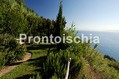 Albergo San Montano - Il parco