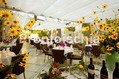 Hotel Central Park - Il ristorante in giardino