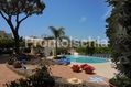 Hotel Don Pepe - Il giardino
