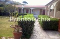 Hotel Grazia Terme - Gli esterni