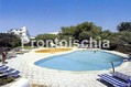 Hotel Ideal - Le piscina ed il solarium attrezzato che le circonda