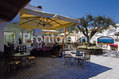 Hotel La Scogliera - Giardino dell'Hotel