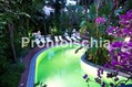 Hotel La Villa Rosa - La piscina termale semicoperta in giardino