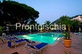 Hotel Le Canne - Il solarium attrezzato