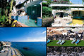 Hotel Mare Blu -  Gli esterni dell'hotel