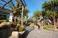 Hotel Mediterraneo - Il parco esotico