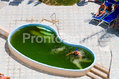 Hotel Nausicaa - La piscina termale