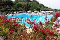 Hotel Oasi Castiglione Parco Termale - Piscina con solarium