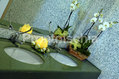 Hotel Parco Villa Teresa - Il bagno
