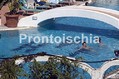 Hotel Parco Villa Teresa - La piscina termale 