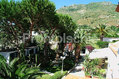 Hotel Park Calitto - Il giardino