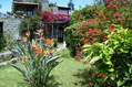 Il verdeggiante e curatissimo giardino.